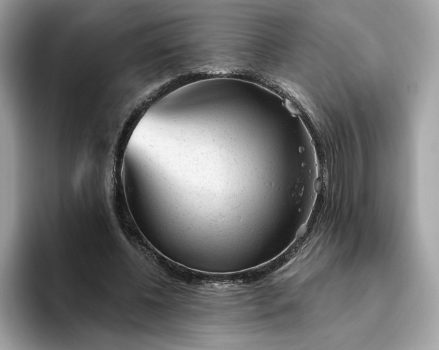 X0000094770540200711301528