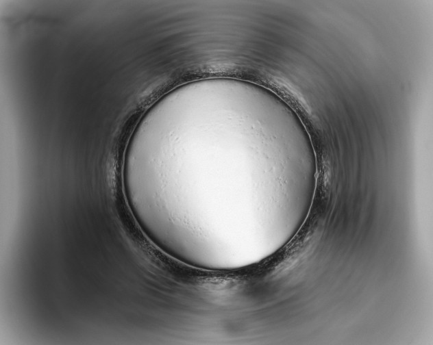 X0000094770542200711301528