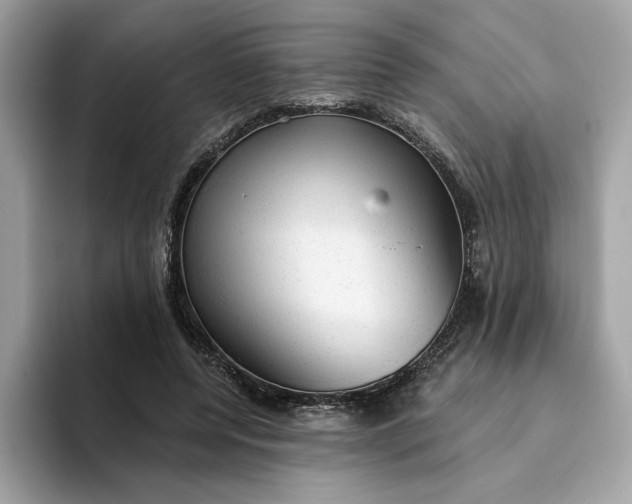 X0000094770544200711301528