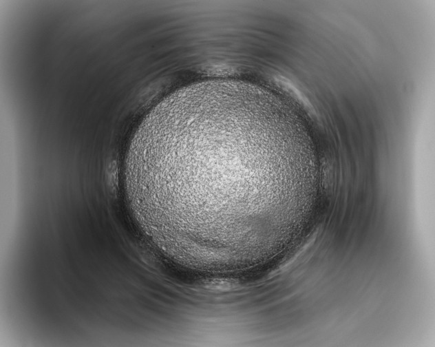 X0000094770549200711301528