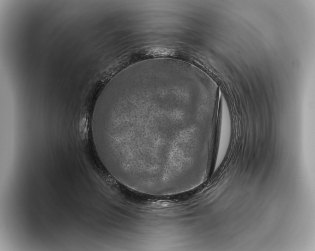 X0000094770551200711301528