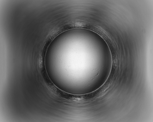 X0000094770552200711301528