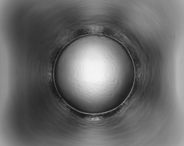 X0000094770553200711301528