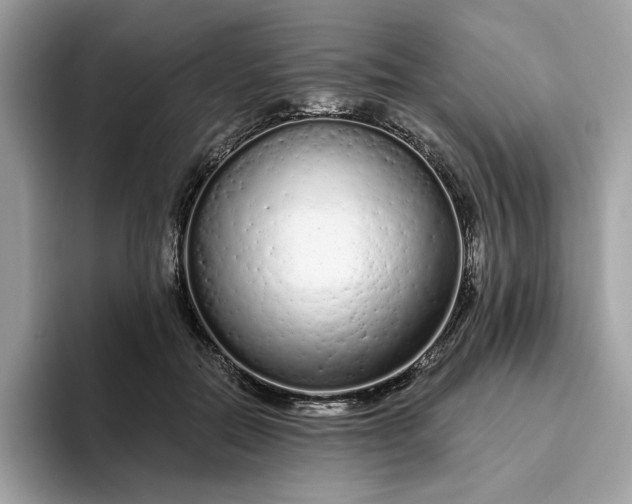 X0000094770554200711301528