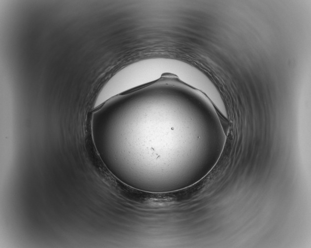 X0000094770556200711301528