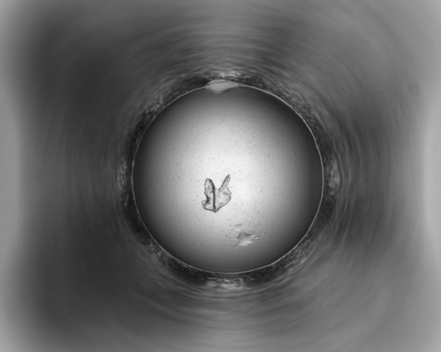 X0000094770559200711301528