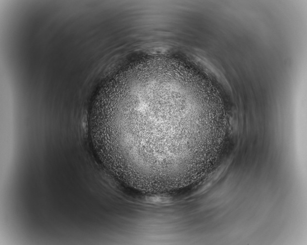 X0000094770561200711301528