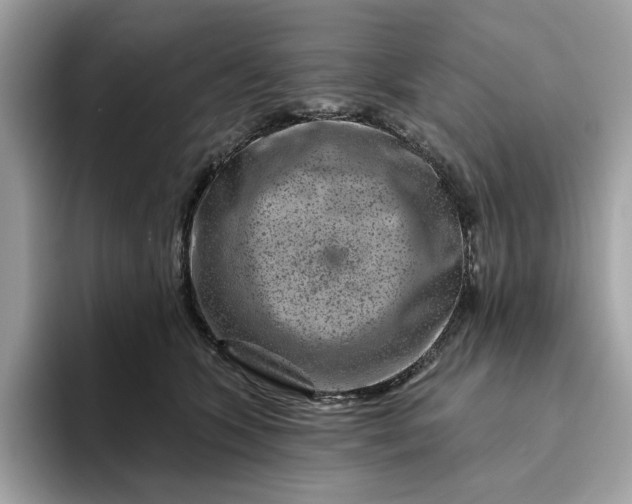 X0000094770563200711301528