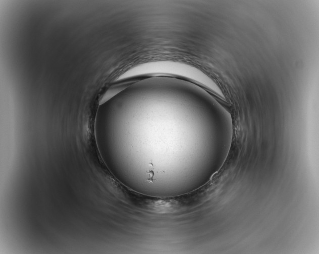 X0000094770566200711301528