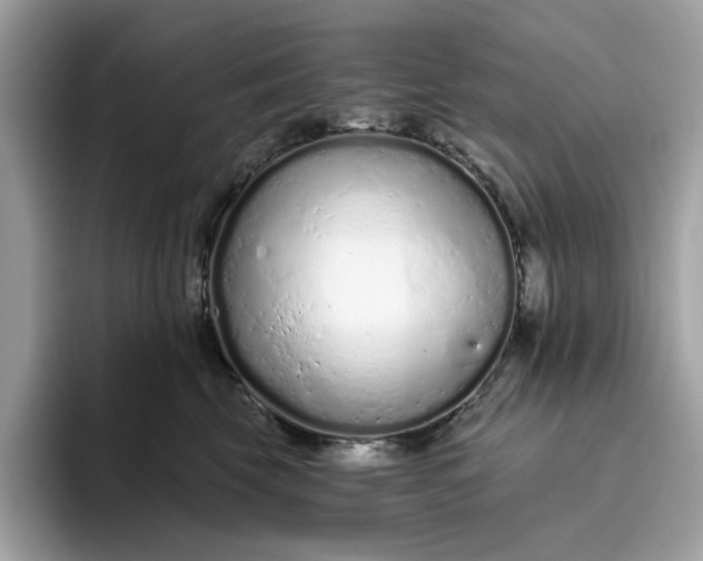 X0000094770569200711301528