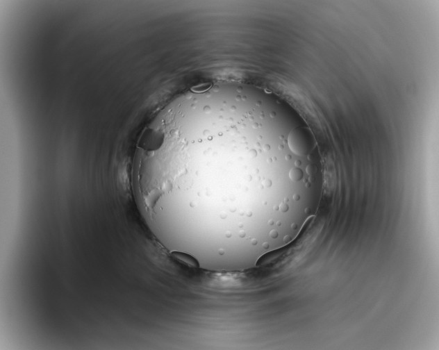 X0000094770573200711301528