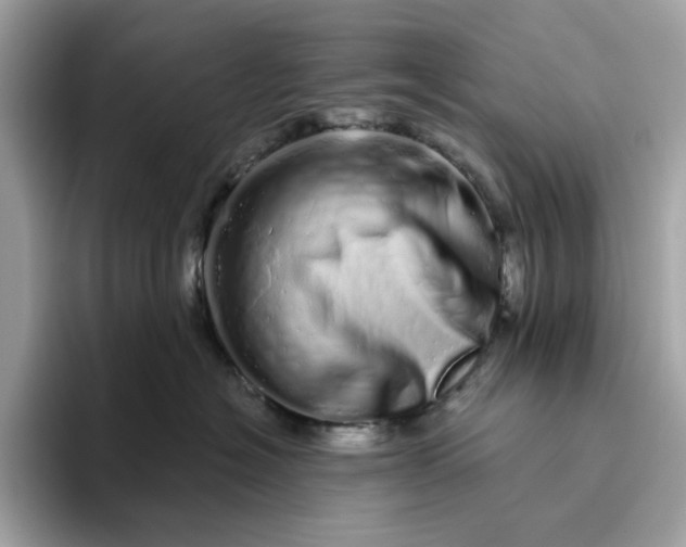 X0000094770574200711301528