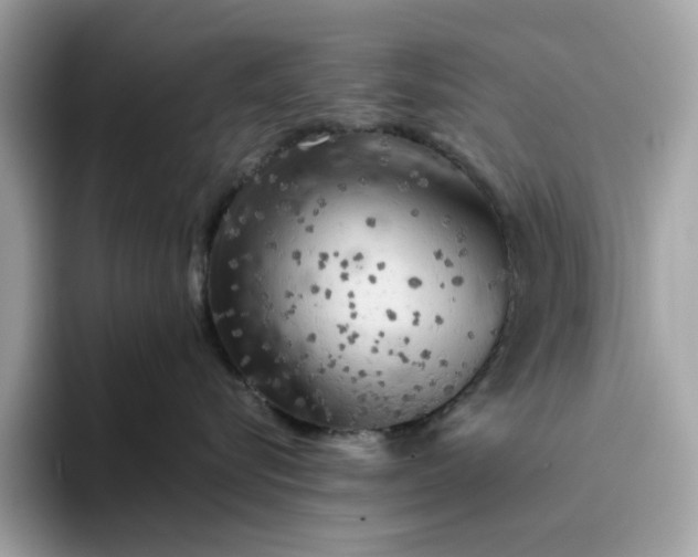 X0000094770576200711301528