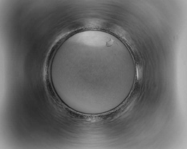 X0000094770579200711301528