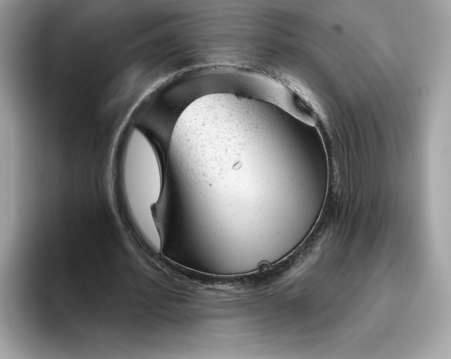 X0000094770580200711301528