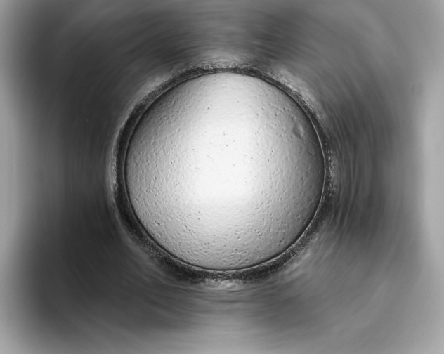 X0000094770582200711301528