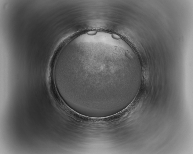 X0000094770583200711301528