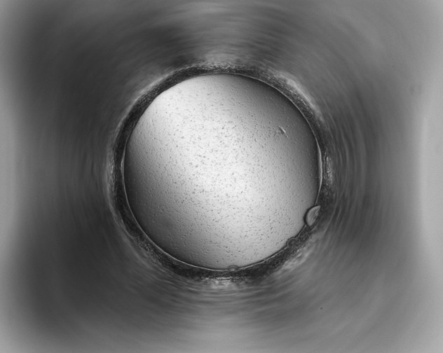 X0000094770588200711301528