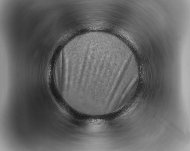 X0000094770590200711301528