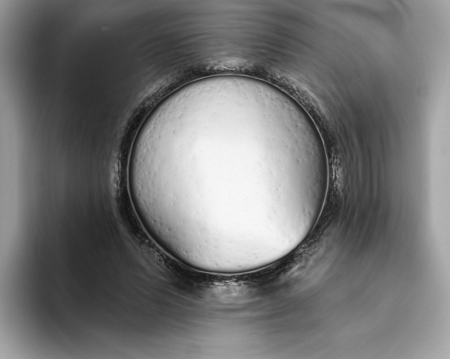 X0000094770591200711301528