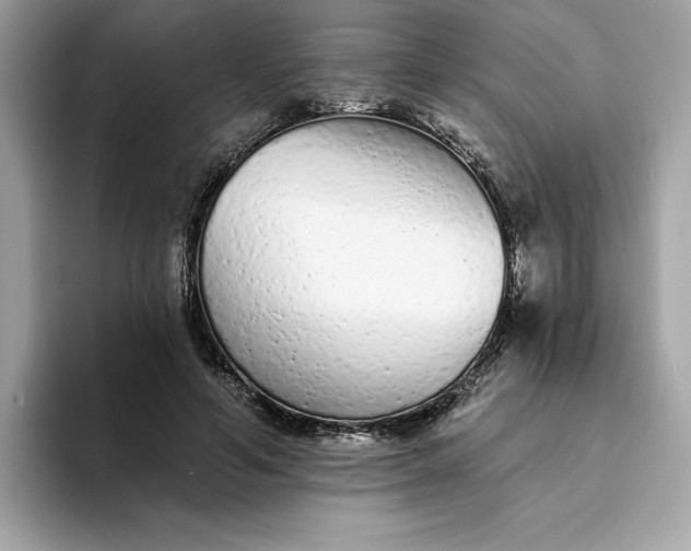 X0000094770594200711301528