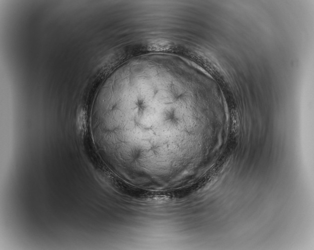 X0000094770598200711301527