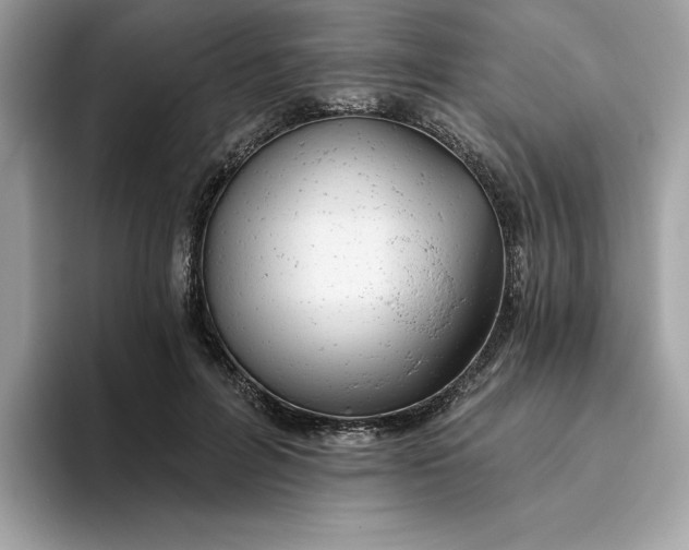 X0000094770600200711301527