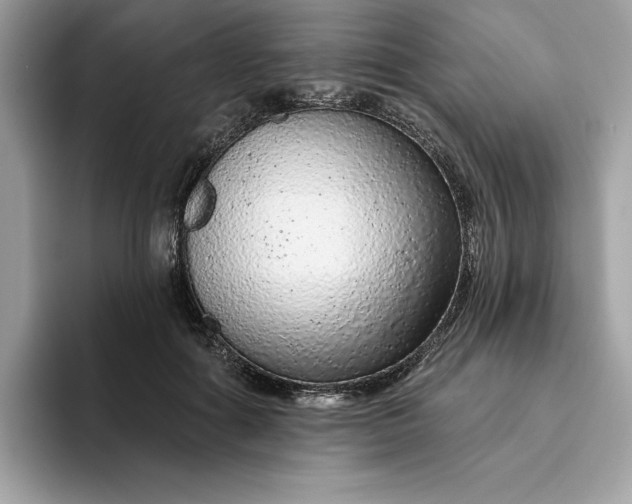 X0000094770602200711301527