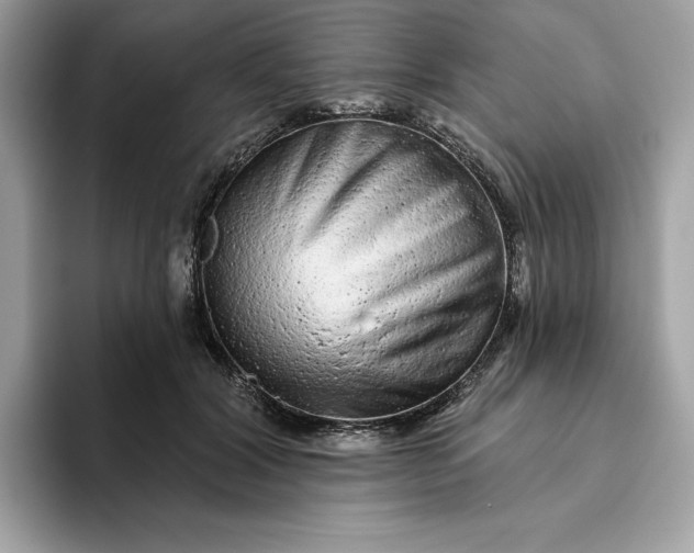 X0000094770604200711301527