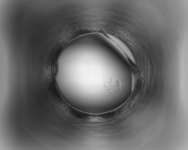 X0000094770605200711301527