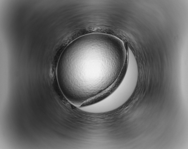 X0000094770607200711301527