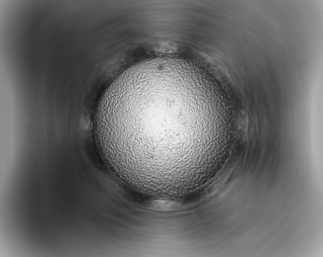 X0000094770614200711301527