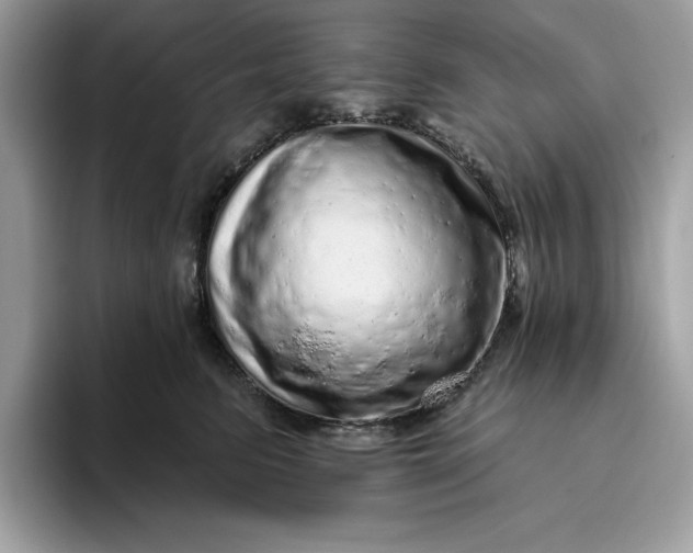 X0000094770615200711301527