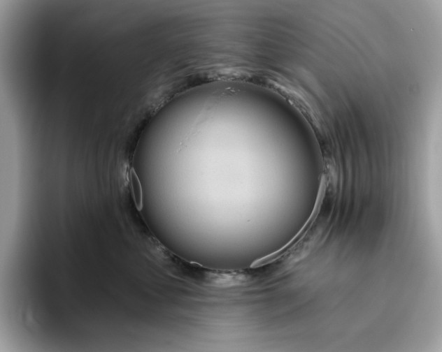 X0000094770621200711301527