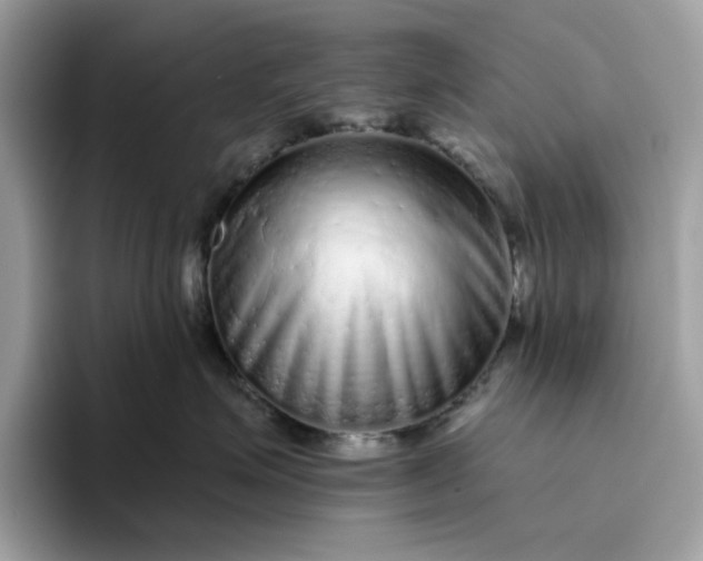 X0000094770623200711301527