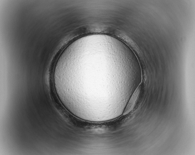 X0000094770626200711301527