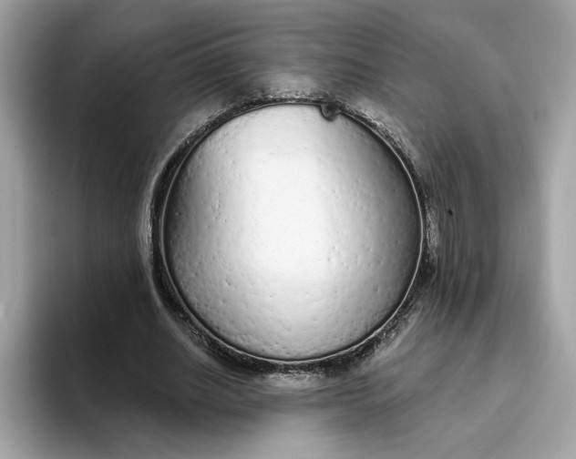 X0000094770630200711301527