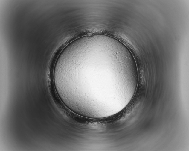 X0000094770634200711301527