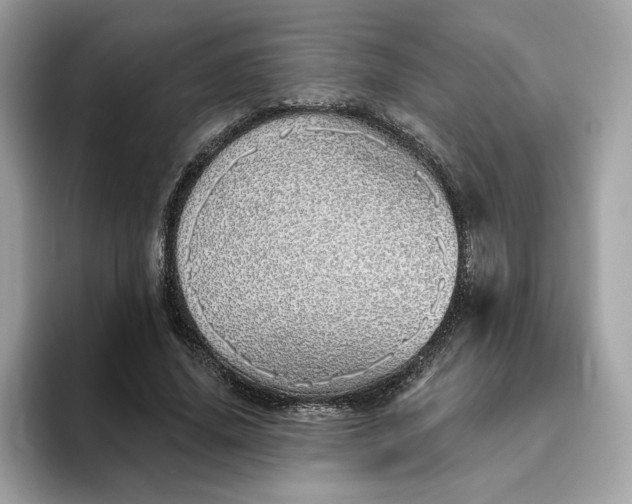 X0000094770636200711301527