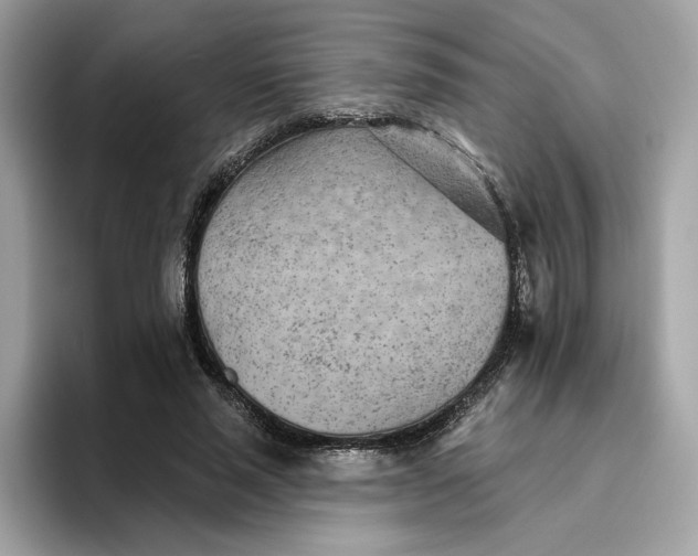 X0000094770637200711301527