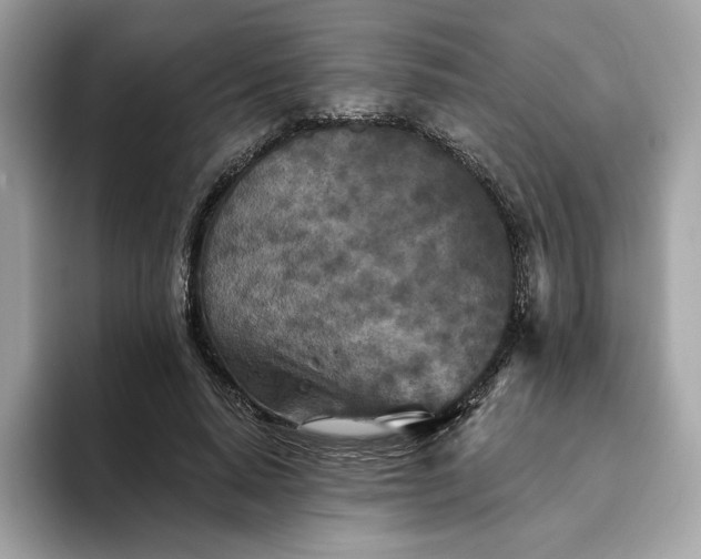 X0000094770640200711301527