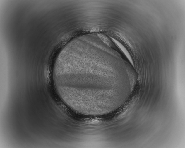 X0000094770643200711301527