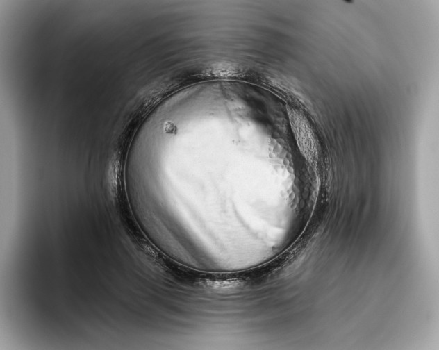 X0000094770645200711301527