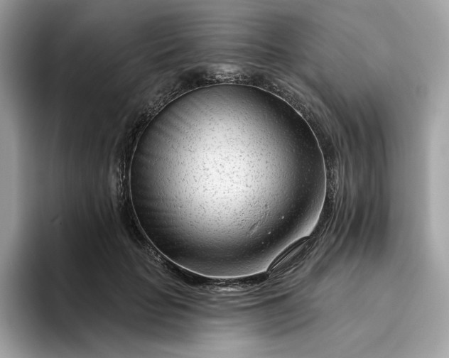 X0000094770653200711301527