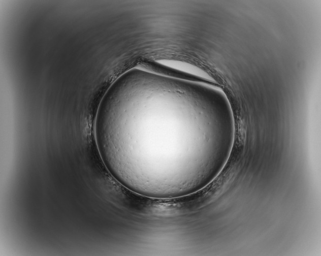 X0000094770657200711301527