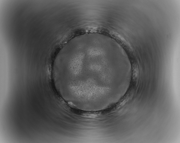 X0000094770661200711301527