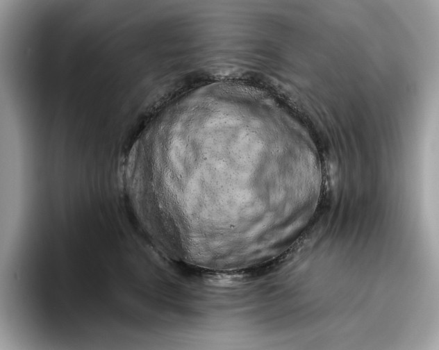 X0000094770664200711301527