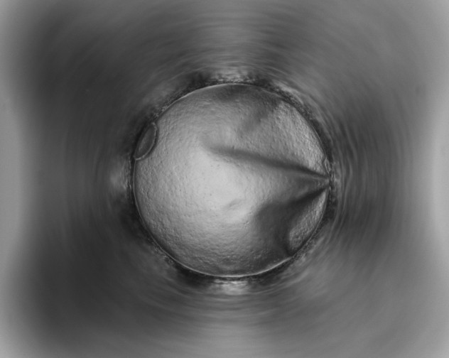 X0000094770665200711301527