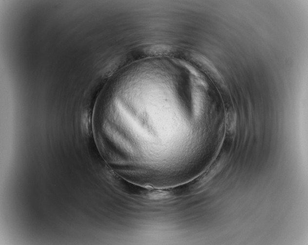 X0000094770669200711301527