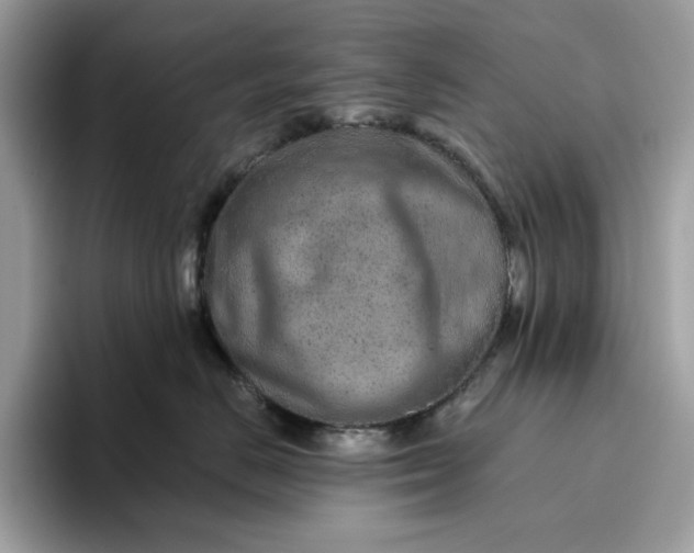 X0000094770670200711301527